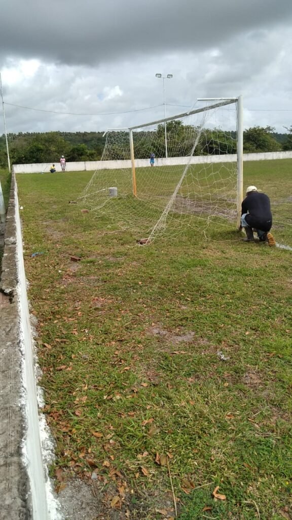 RecuperaÇÃo Dos Gramados